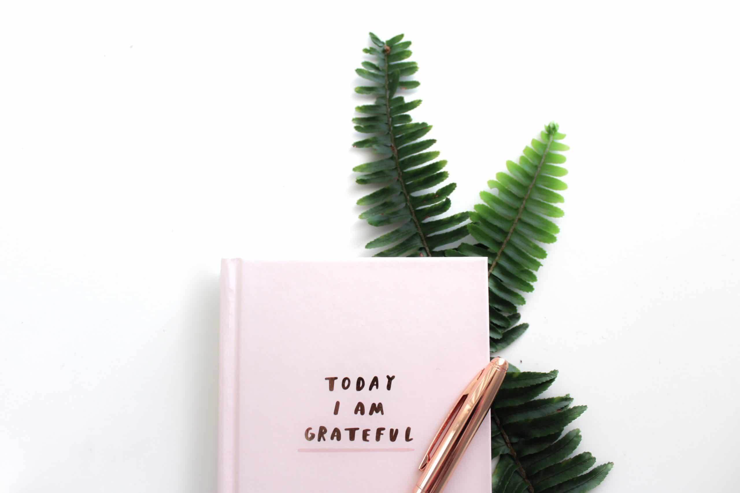 today I am grateful: one tip for surviving lockdown