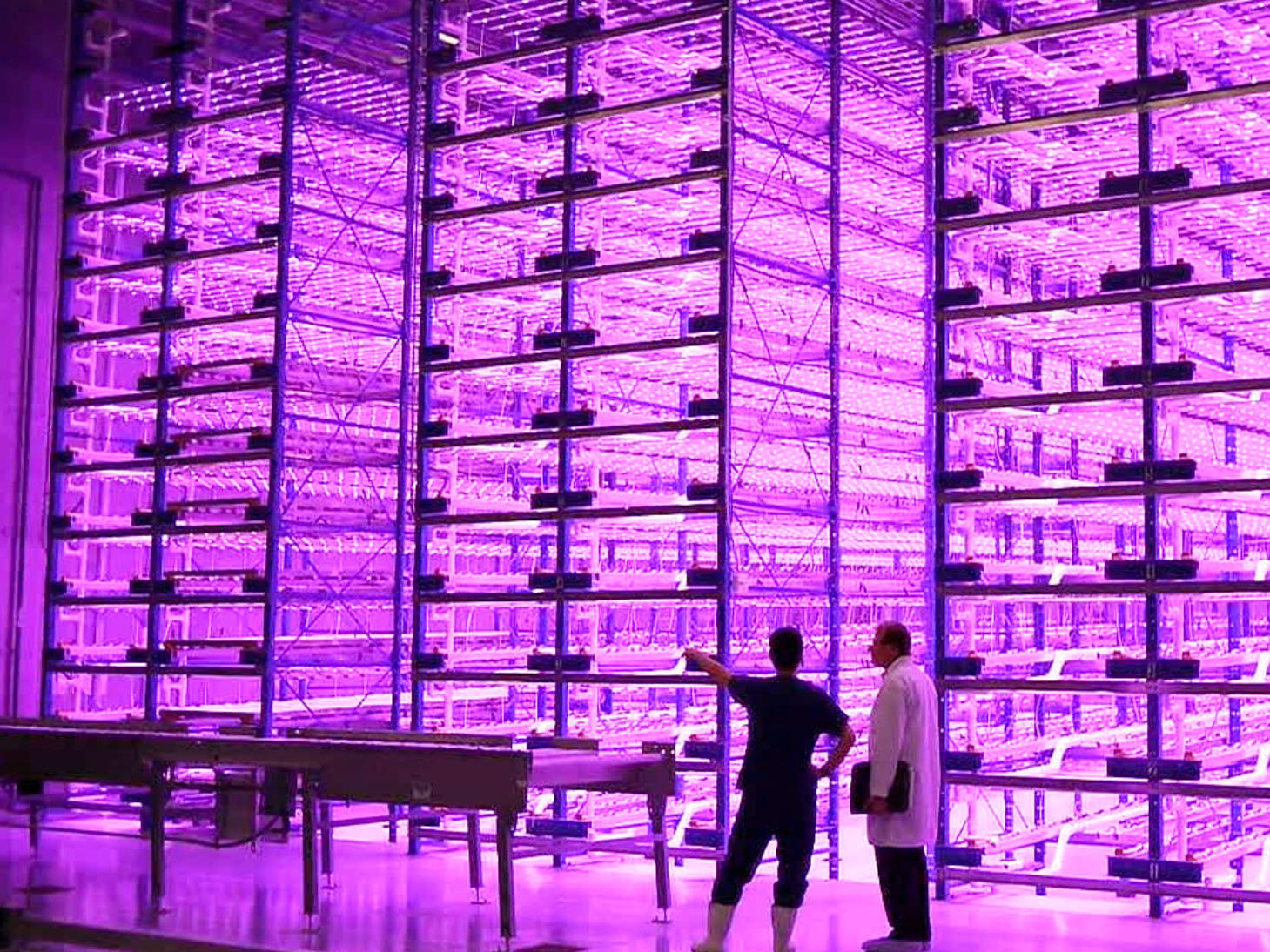 vertical future