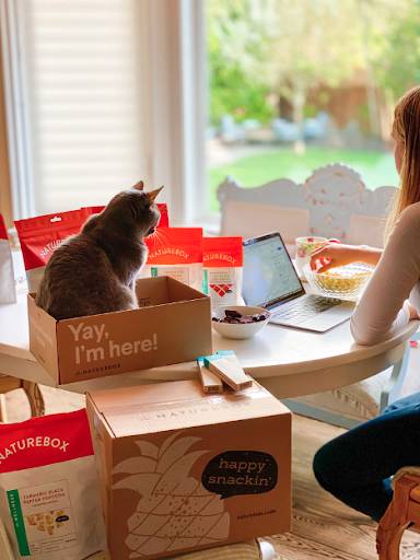 cat on food delivery boxes