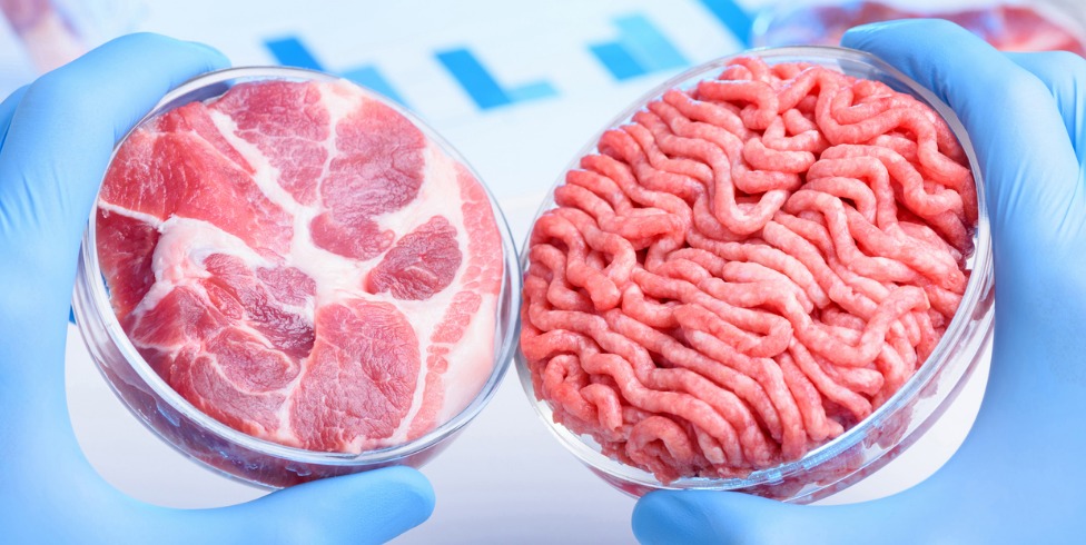cultured-cell-lab-meat