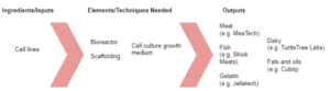 Cellular agriculture production process and outputs examples