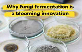 Why fungi fermentation is a blooming innovation.png