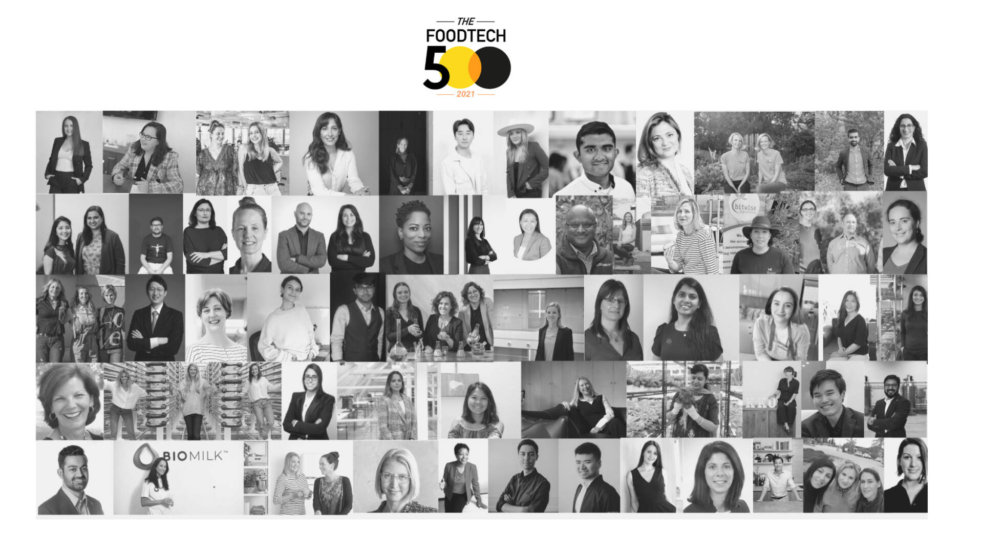 Women-and-Diversity-blogpost.