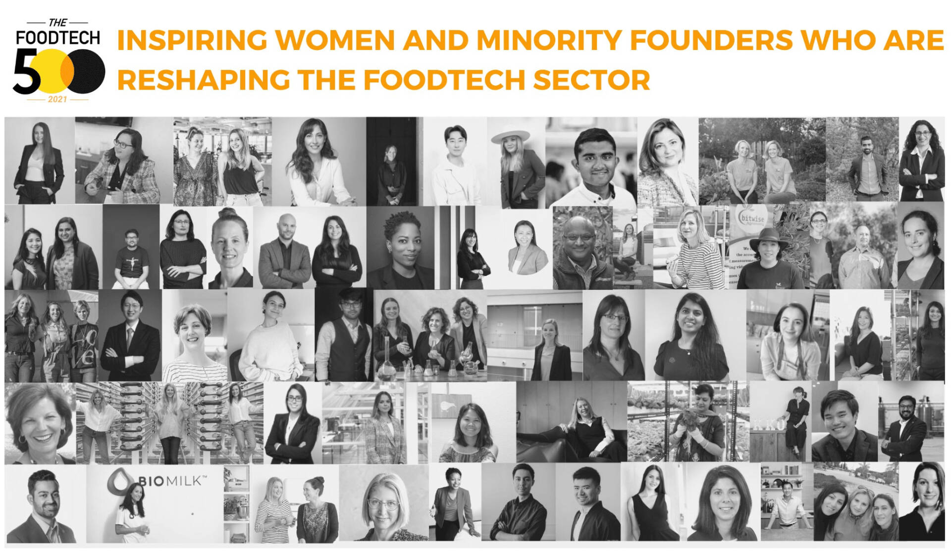 Women-and-Diversity-blogpost.