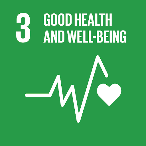 sdg 3