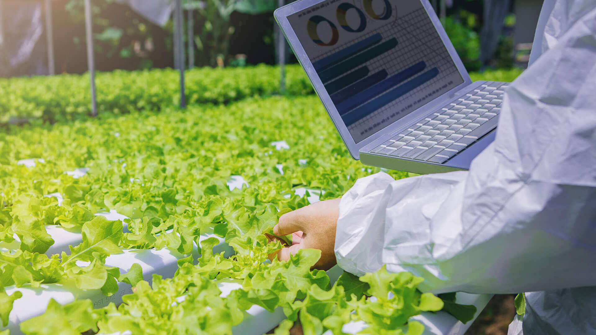 Foodtech challenge uae