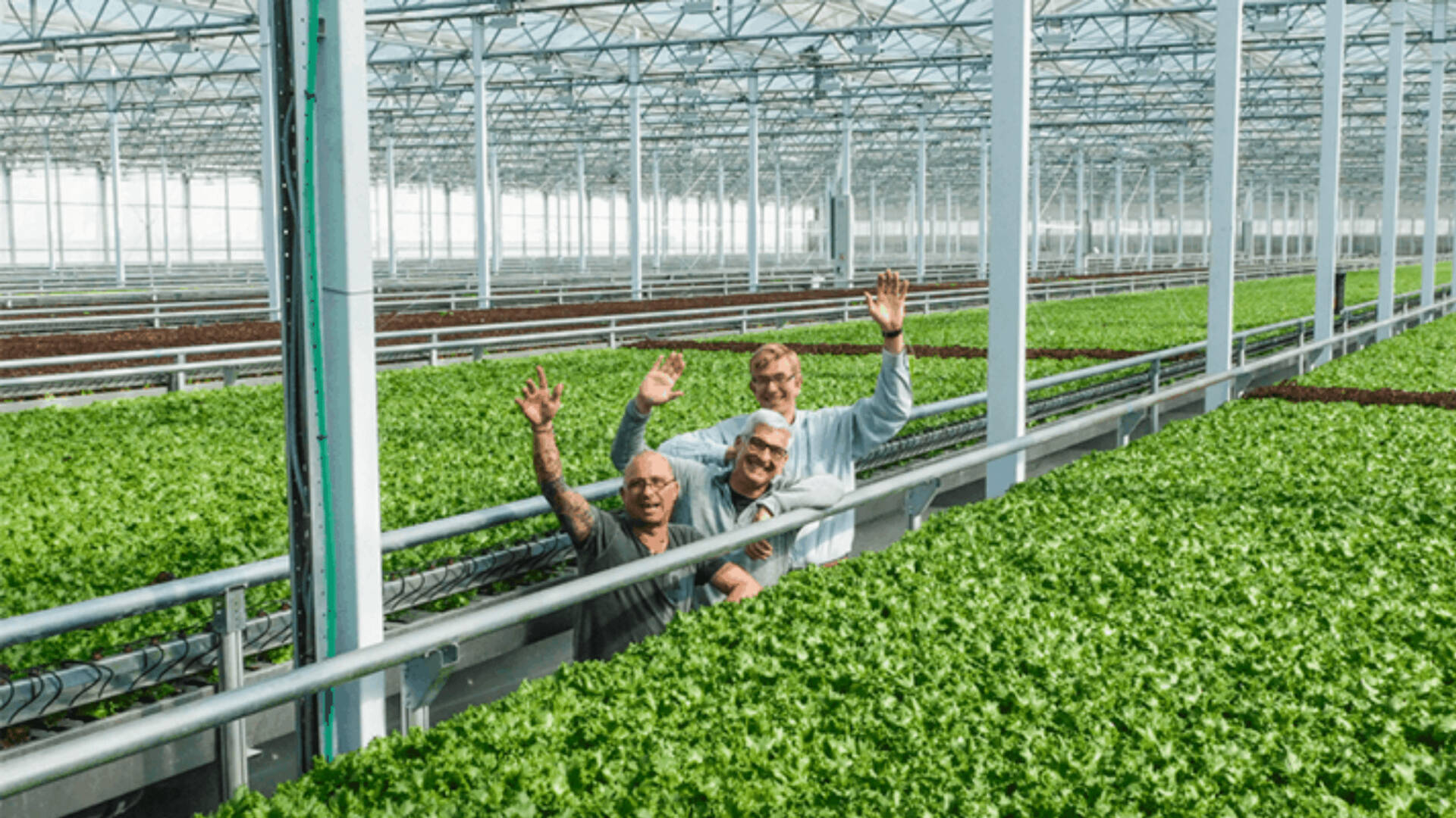vertical farming blogpost