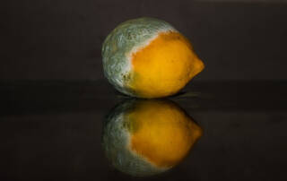 Food preservation