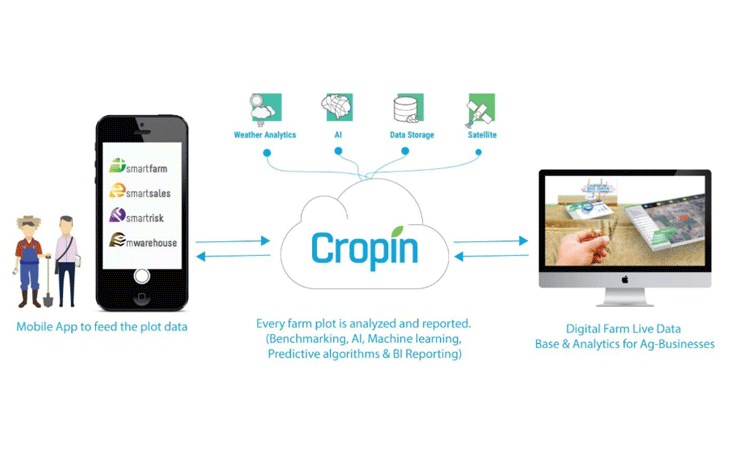 Cropin 