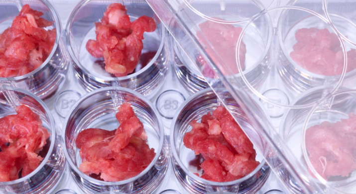  FDA Gives Safety Green Light to Lab-Grown Meat Startup Upside Foods