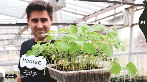 Gastón Paladini, CEO and Co-Founder of plant molecular farming company Moolec Science 