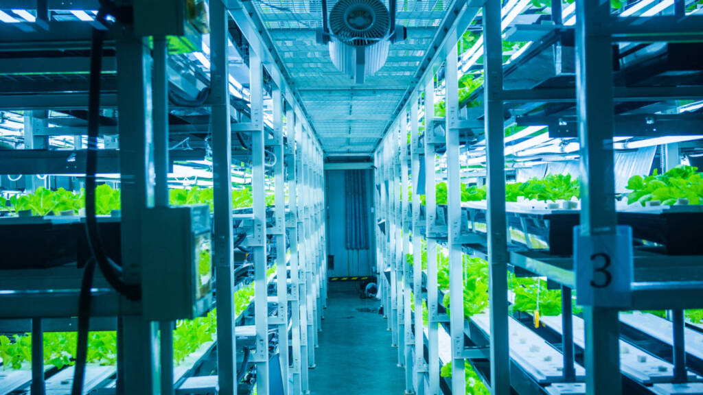 indoor vertical farming facility