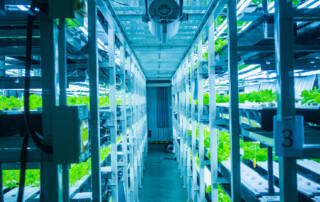 indoor vertical farming facility