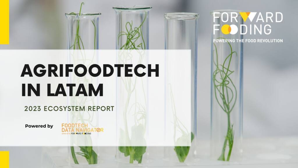 LATAM Ecosystem Report 2022