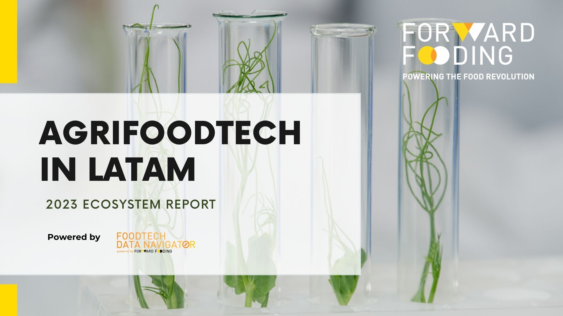 LATAM Ecosystem Report 2022