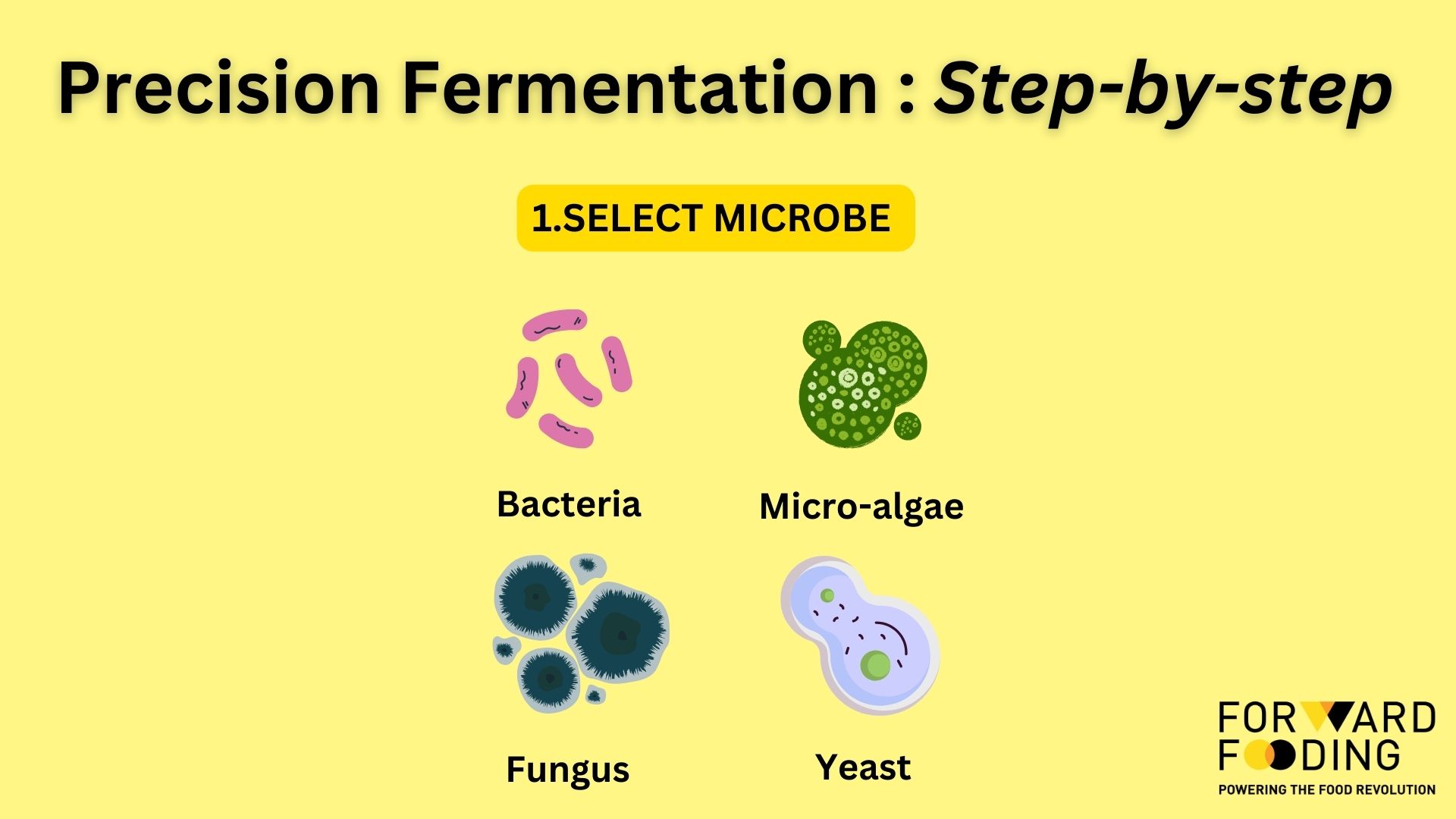 WTF What's The Fermentation Decoding Precision Fermentation