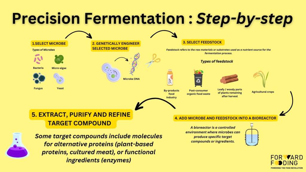 WTF What's The Fermentation Decoding Precision Fermentation