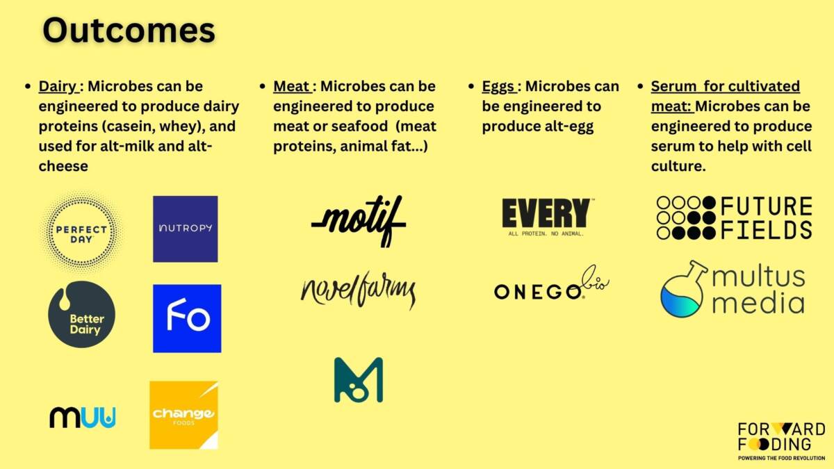 WTF What's The Fermentation Decoding Precision Fermentation