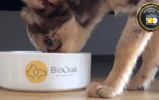 BioCraft Pet Nutrition: cultivated pet food