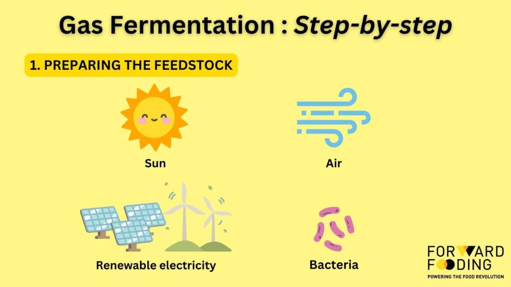 Gas Fermentation Step 1: Feedstock Preparation