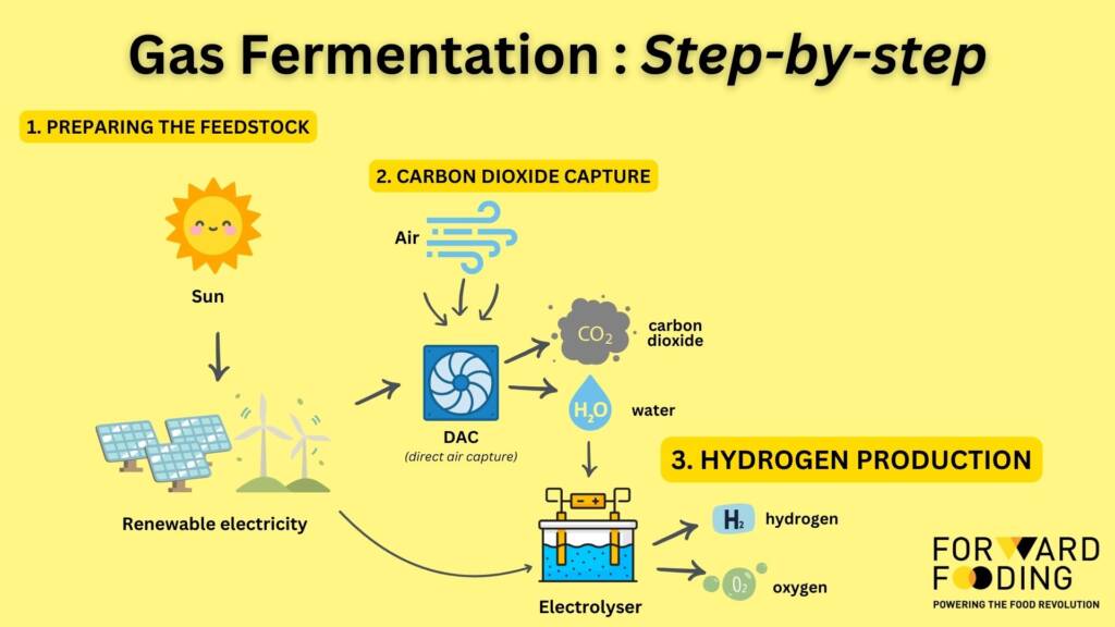 Gas Fermentation Step 3: Hydrolysis