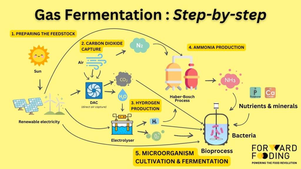 Gas Fermentation Step 5: Microorganism Cultivation & Fermentation