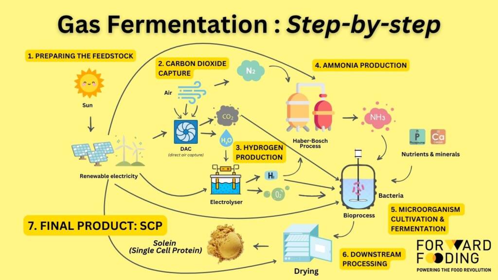 Gas Fermentation Step 7: Final Product (SCP)