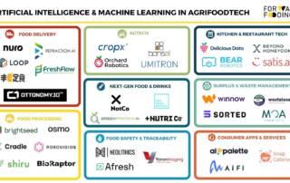 Artificial Intelligence (AI) & Machine Learning in AgriFoodTech