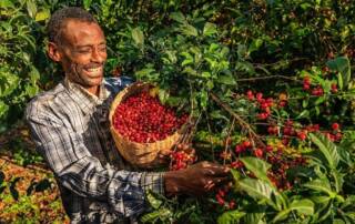 coffee farmer