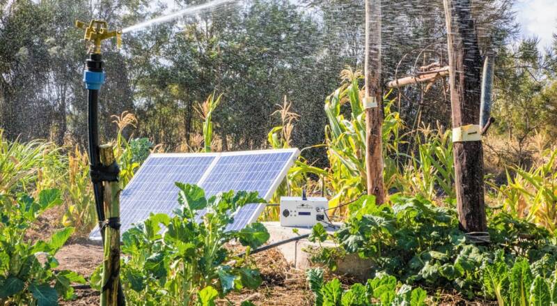 Smart irrigation - Sunculture