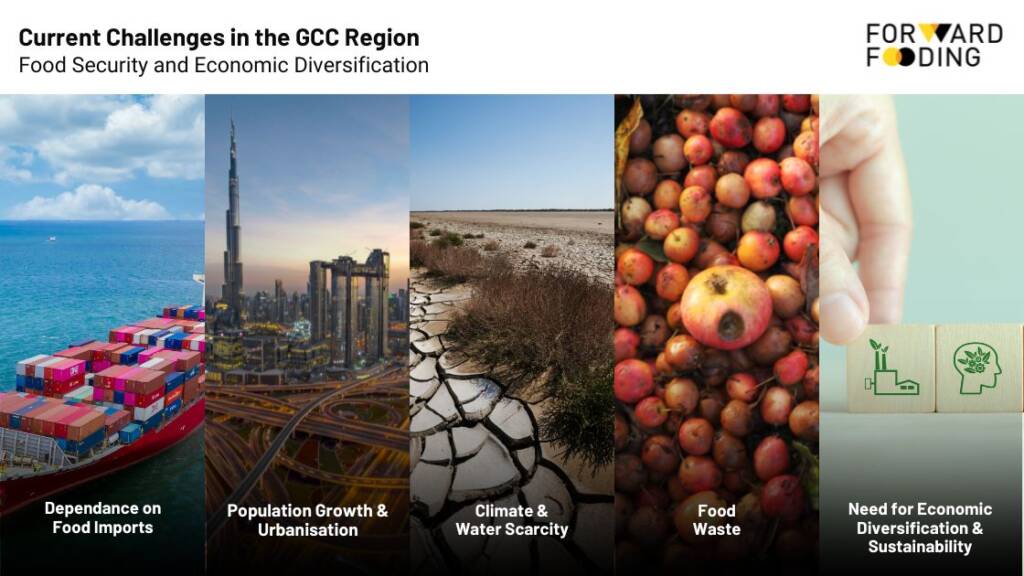 Current Challenges in the GCC Region