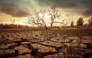 Forward Fooding Blog - Building Agricultural Resilience Through Innovative Soil Health Solutions