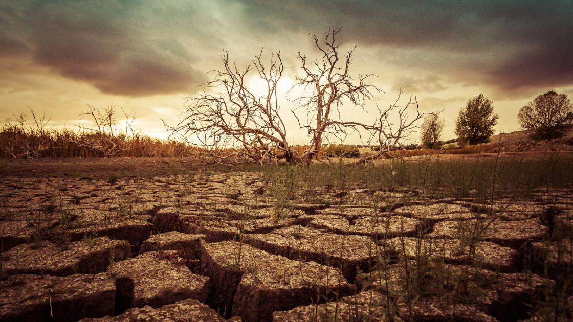 Forward Fooding Blog - Building Agricultural Resilience Through Innovative Soil Health Solutions