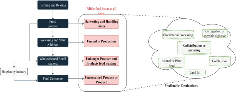 Food losses at different stages of the food value chain