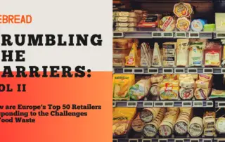 Crumbling the Barriers Report Vol II by Rebread