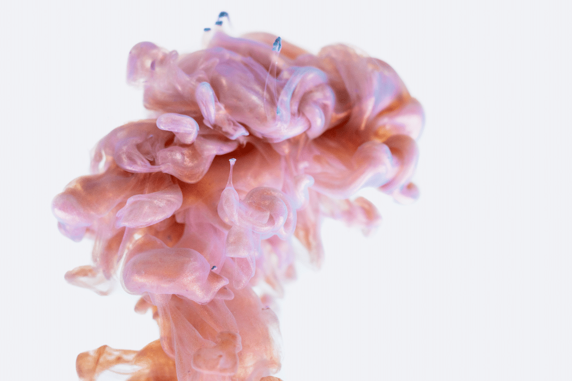 Adaptogens and Nootropics