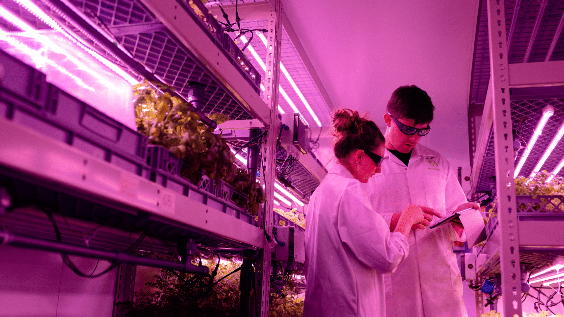 Capital Efficiency in Vertical Farming Innovating for Scalable Growth