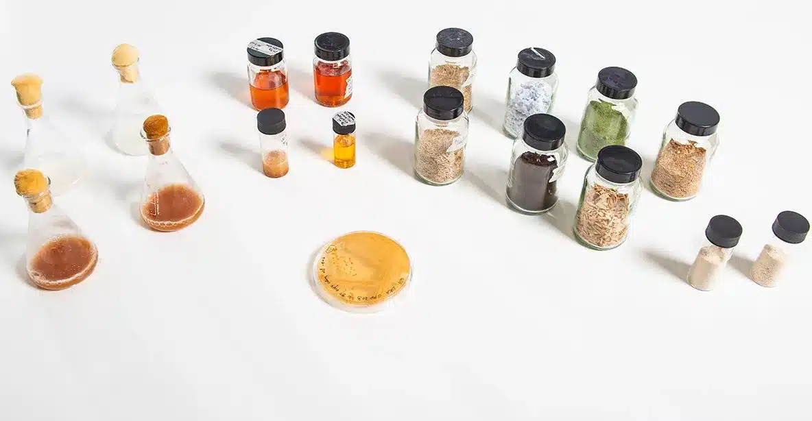 Clean Food Group sustainable fats and oils