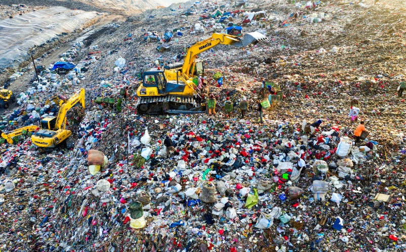 Food Waste