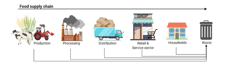 Food supply chain