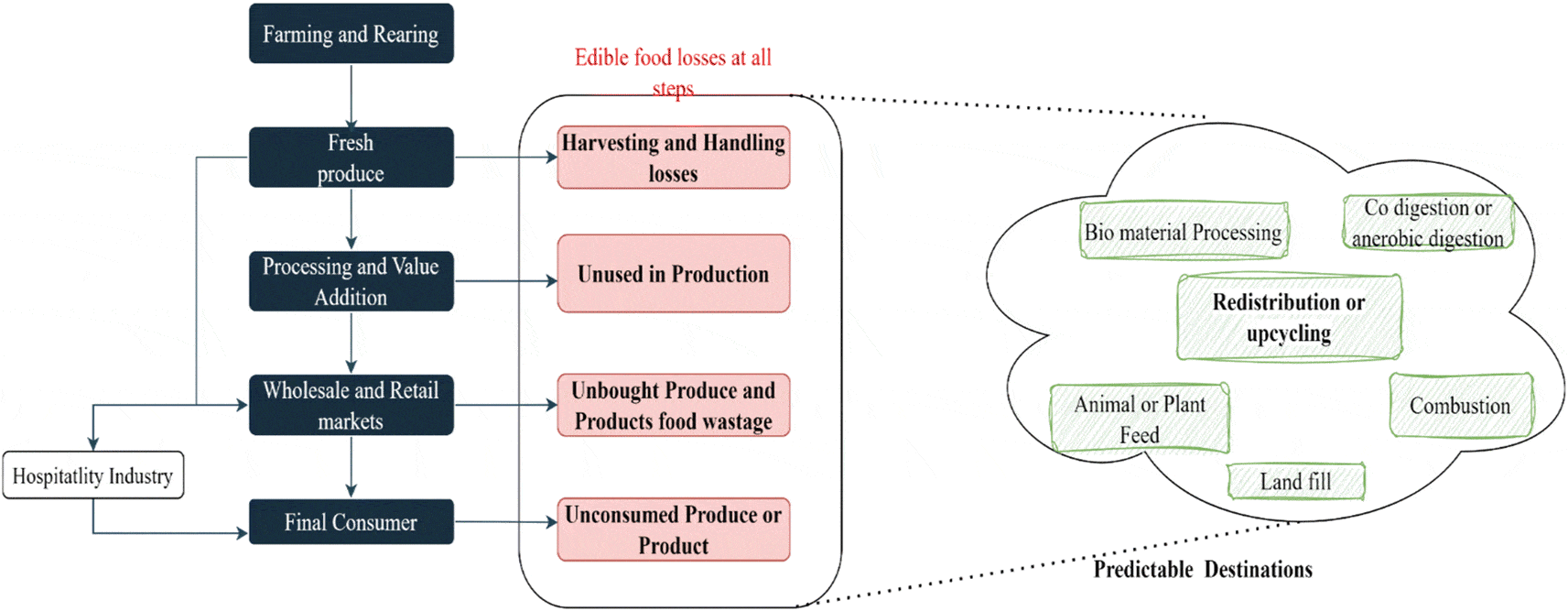 Food losses at different stages of the food value chain