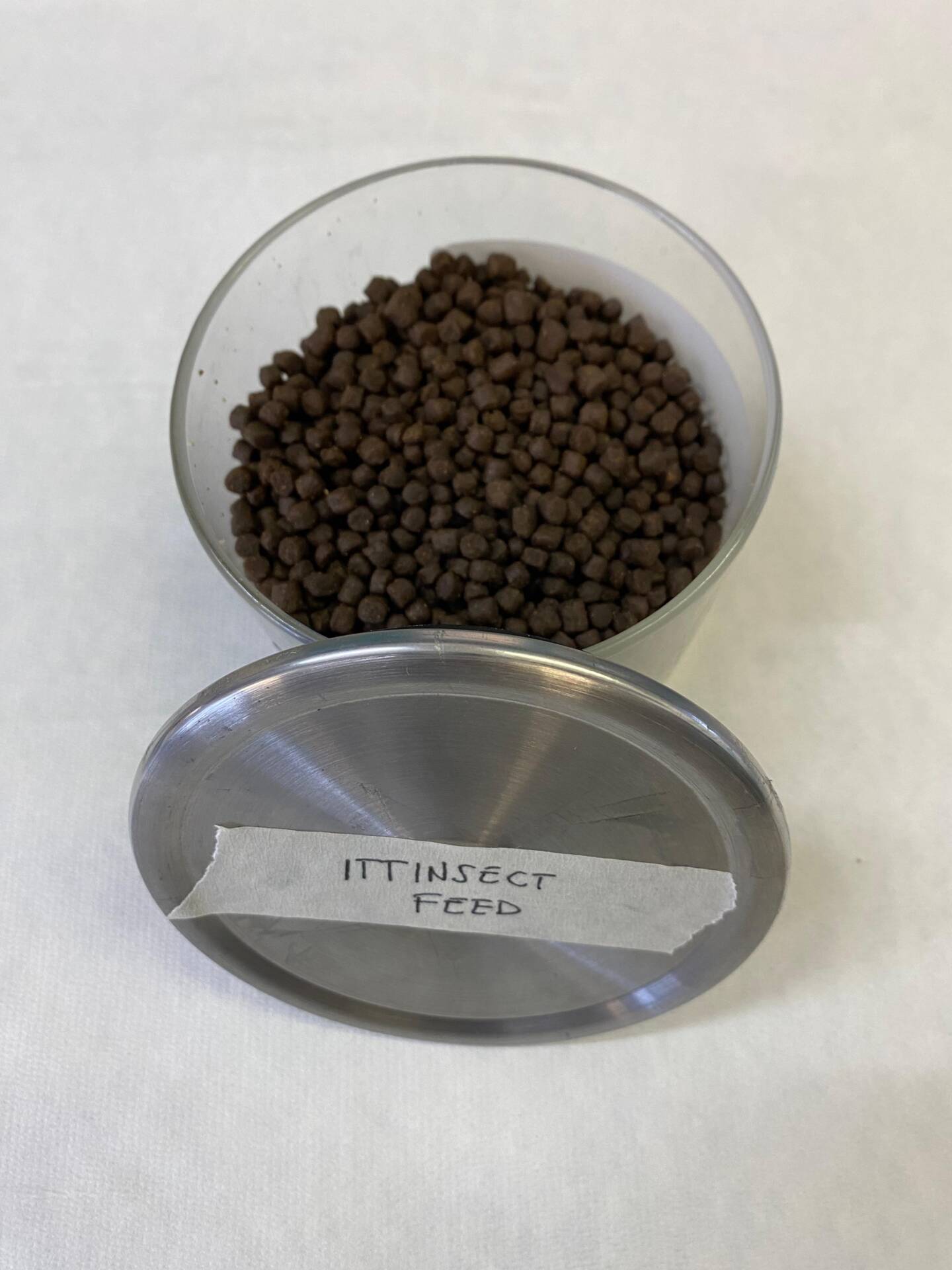 Ittinsect aquaculture feed