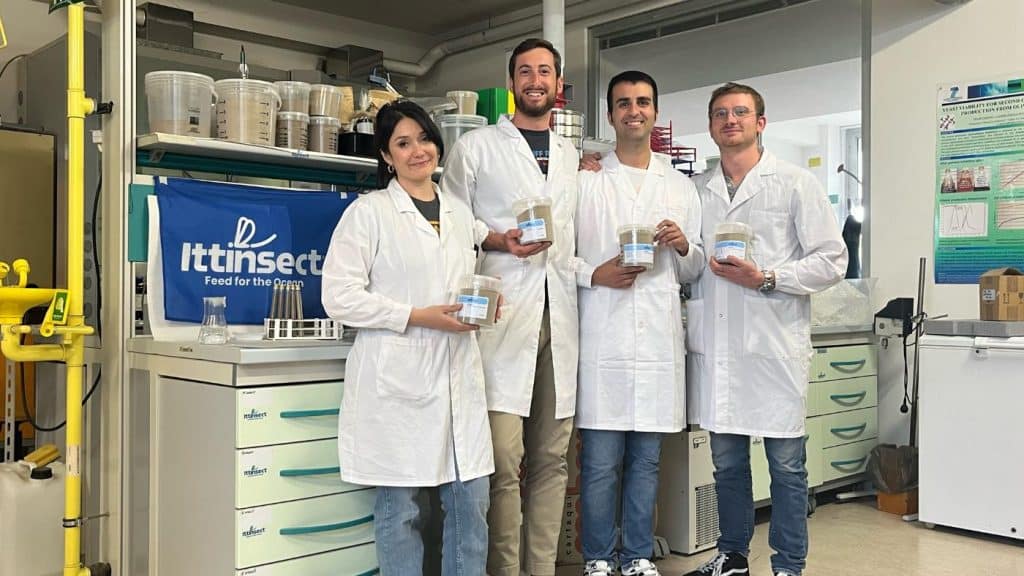 Ittinsect team
