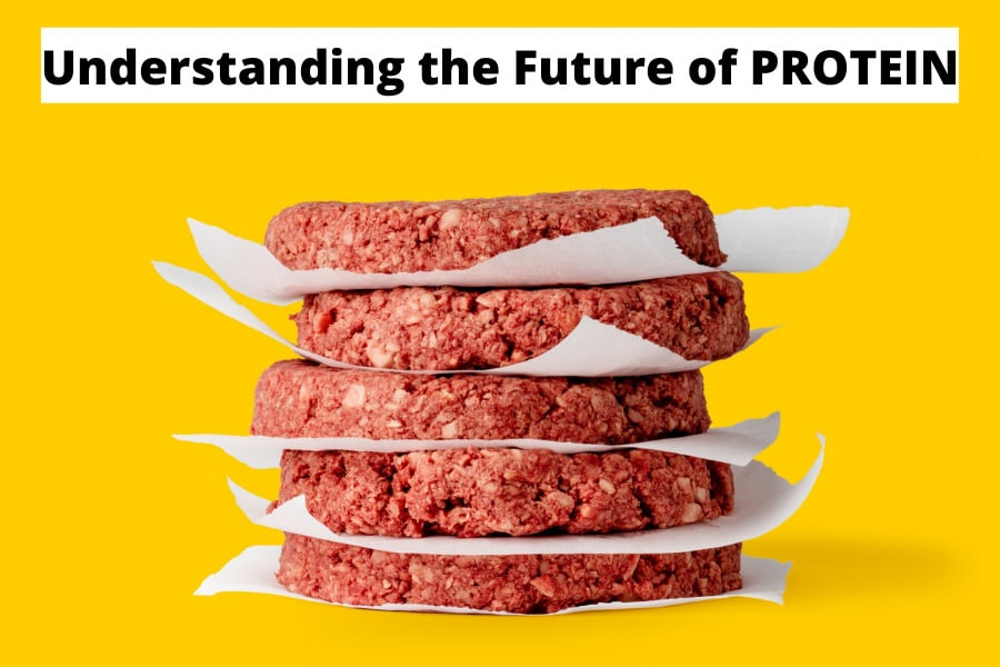 Understanding-the-Future-of-protein