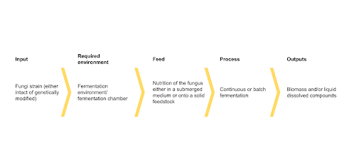 Plant Molecular Farming company Nobell Foods and its soy-made casein 