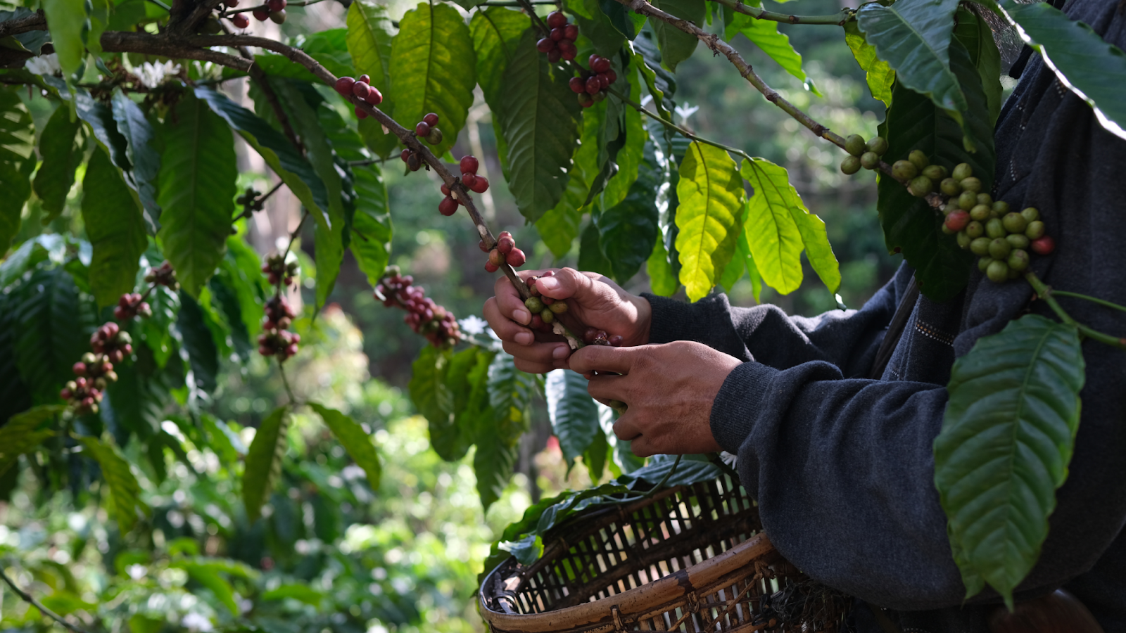 South-American-Companies-Rise-in-the-FoodTech-500-Rankings-1