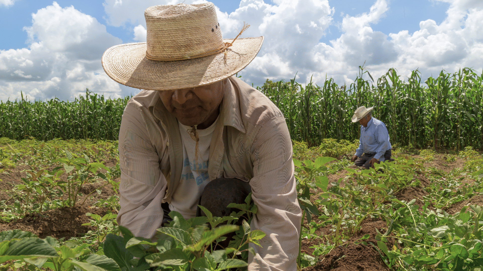 beyond-last-mile-remote-first-agtech