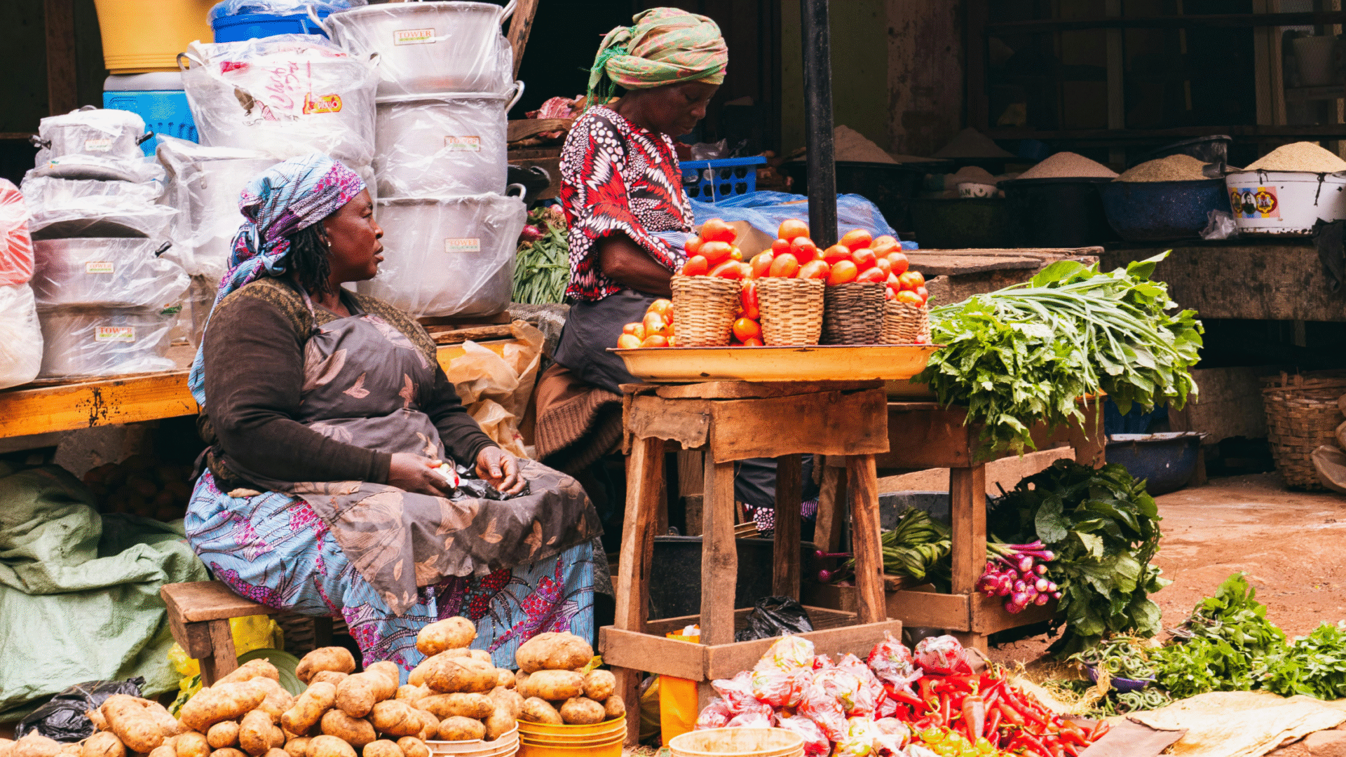 service-model-revolution-global-south-agriculture
