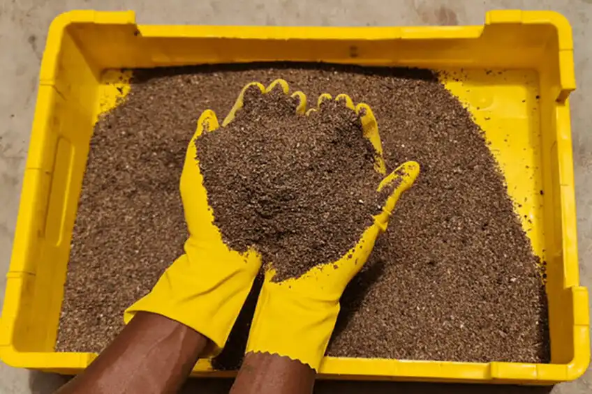 Insect farmed powder