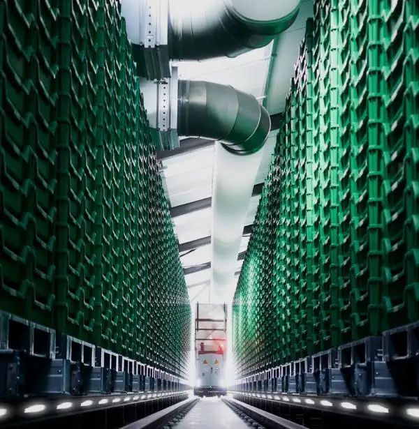 Insect farming facility